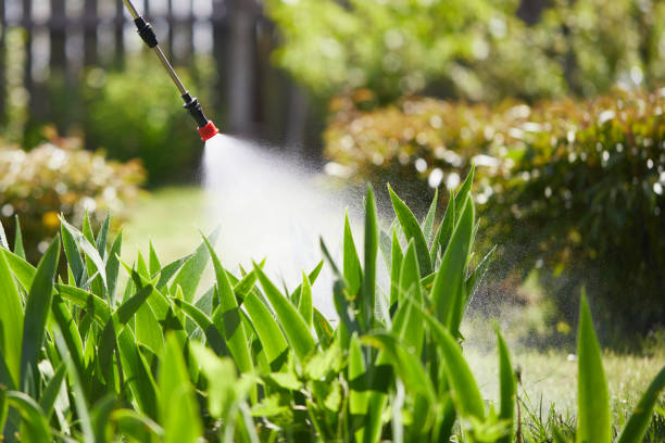 24/7 Emergency Mosquito Control experts in Marshfield, WI