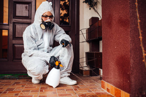 Reliable Mosquito Control contractor in Marshfield, WI by Show Me Pest Control